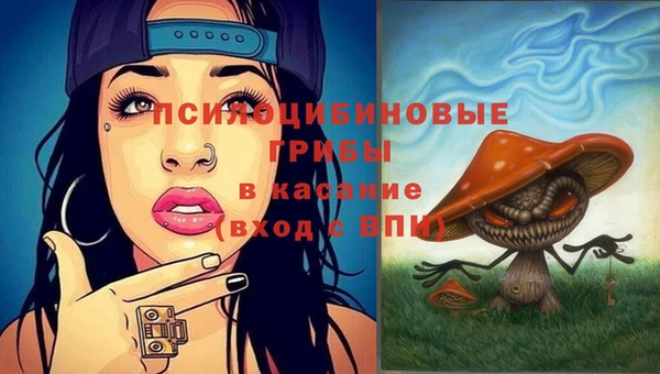 сатива Корсаков