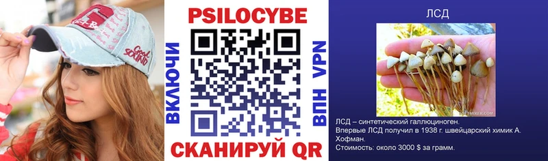 хочу наркоту  Вилючинск  Галлюциногенные грибы мухоморы 